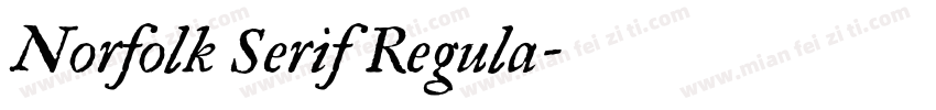 Norfolk Serif Regula字体转换